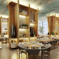 nikki beach resort and spa