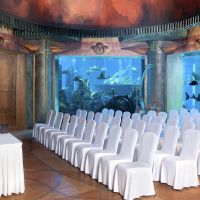 atlantis the palm