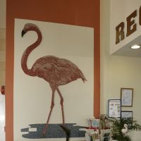 flamingo beach hotel