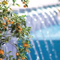 elysia park luxury holiday residences