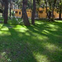 CLUB PINARA