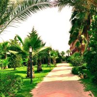 ORFEUS PARK