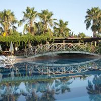 trendy palm beach