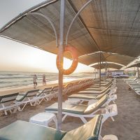 trendy palm beach