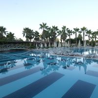 trendy palm beach