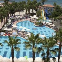 trendy palm beach