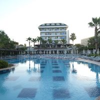 trendy palm beach