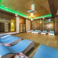 DIZALYA PALM GARDEN HOTEL