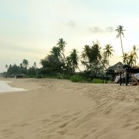 lagoon paradise beach resort