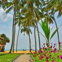 amagi beach resort