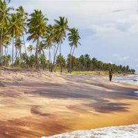 c negombo