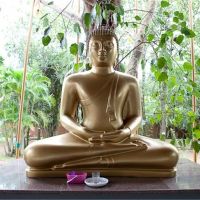 siddhalepa ayurveda resort