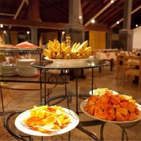 siddhalepa ayurveda resort