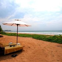 temple tree resort & spa