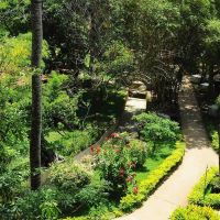 siddhalepa ayurveda resort