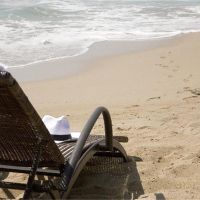 venus beach