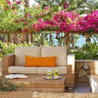 nissi beach resort
