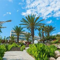 crystal springs beach hotel