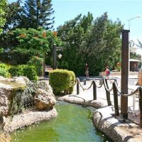 alva hotel apts