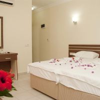 dynasty hotel