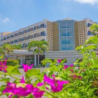 tsokkos gardens hotel
