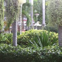 romeo palace