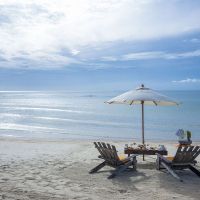 new star beach resort