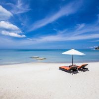 new star beach resort