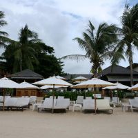 samui jasmine resort