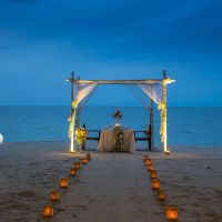 new star beach resort