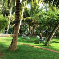 sea view beach hotel