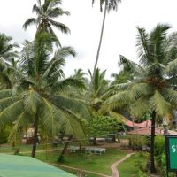 sea view beach hotel
