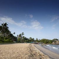 calamansi cove by jetwing