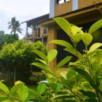 ocean dreams hotel