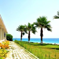 adora hotel