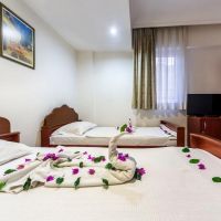 wasa hotel