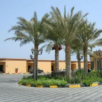 royal beach hotel & resort 4 *