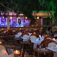 okaliptus hotel