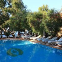 okaliptus hotel