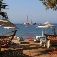 okaliptus hotel