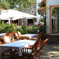okaliptus hotel