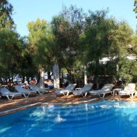 okaliptus hotel