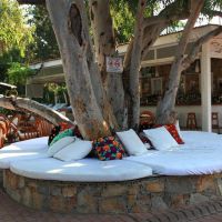 okaliptus hotel