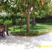 mikado beach hotel 3 *