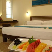 club hotel dolphin