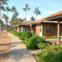 club hotel dolphin