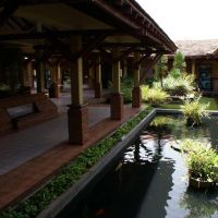 club hotel dolphin
