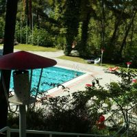 forest park hotel 4 *