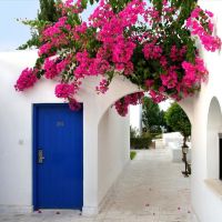 aliathon aegean (ex. aliathon holiday village)