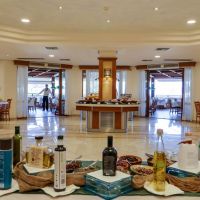 aegean melathron thalasso spa hotel